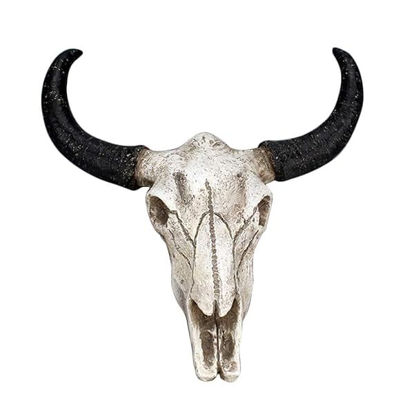 Realistic Bull Head Skull Wall Art | 3D Cow Skull Plaque for Home Decor | Unique Animal Head Sculpture