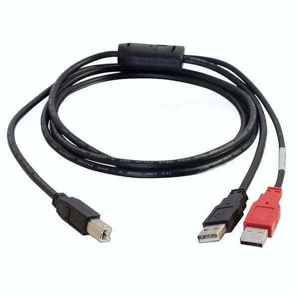 Buy C2G USB 2.0 Y Cable - 6ft USB B Male to 2 A Male, Black | Cables to Go 28108
