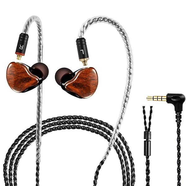 DCMEKA in Ear Monitor Headphones, HiFi Stereo IEM Earphones, Dynamic Dual Driver Wired Earbuds with Detachable Cable, Noise Canceling Headset for Singers Musicians Drummers Audiophile (Wood Grain)