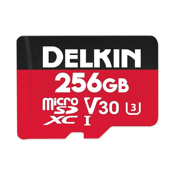 Delkin Devices 256GB Select microSDXC UHS-I (V30) - High-Speed Memory Card for Cameras & Drones