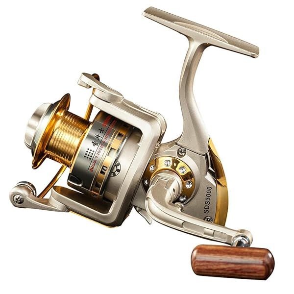 Diwa Spinning Fishing Reels: Smooth 10BB Saltwater & Freshwater Options 1000-6000 Series for Trout & Carp