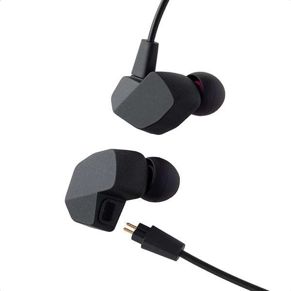 Final A3000 In-Ear Wired Earphones: High Precision Noise Isolating Sound Quality