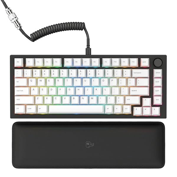 Glorious GMMK PRO 75% Mechanical Keyboard: Customizable TKL, RGB, Fox Switches, Coiled Cable & PBT Keycaps - Perfect for Gamers!