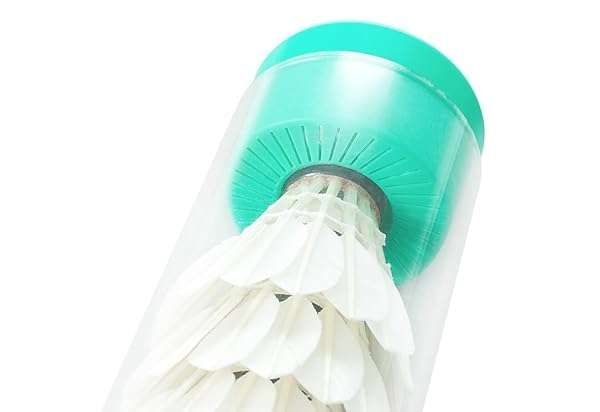 Humidome Feather Shuttlecock Humidifier: Enhance Your Indoor Air Quality Today!