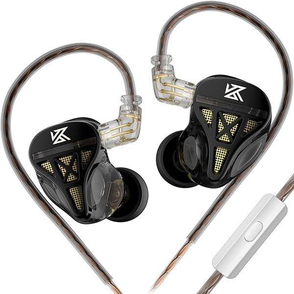 Buy KZ DQS Dynamic Driver HiFi In-Ear Headphones - Extra Bassy Drummer Monitor with Microphone (Black)