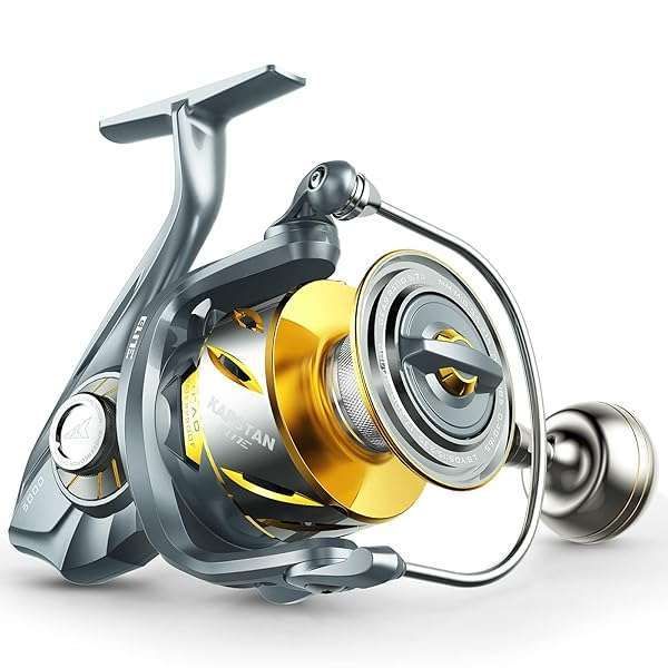 KastKing Kapstan Elite 3000 Spinning Reel: Top Saltwater Fishing Gear for Anglers