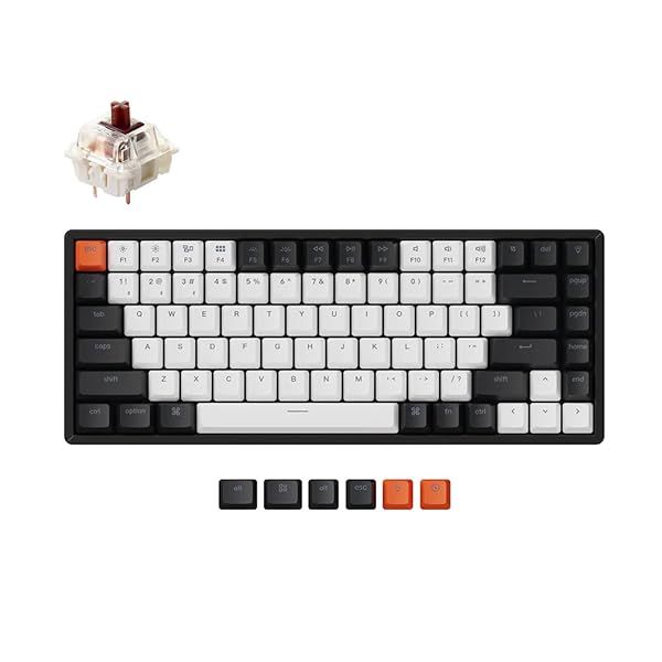 Keychron K2 V2: Hot-Swappable 75% Mechanical Keyboard with RGB, Bluetooth & USB for Mac/Windows - Gateron Brown Switch