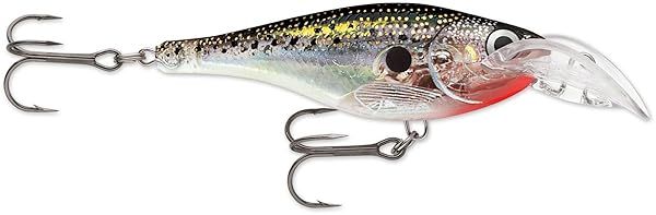 Buy Rapala Scatter Rap Glass Shad 07 in Glass Black - Top Fishing Lure for Anglers