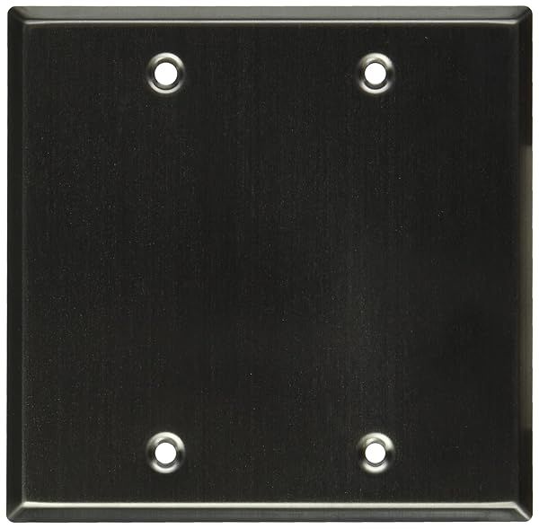 Seismic Audio SA-PLATE15: Premium Stainless Steel Blank Gang Wall Plate for Clean Installations