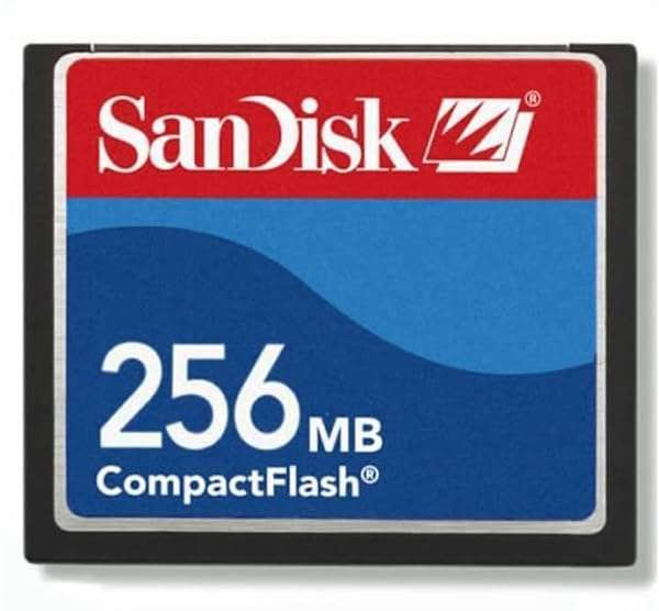 Buy 256MB SanDisk 24x CompactFlash Card - Standard Grade for Reliable Storage