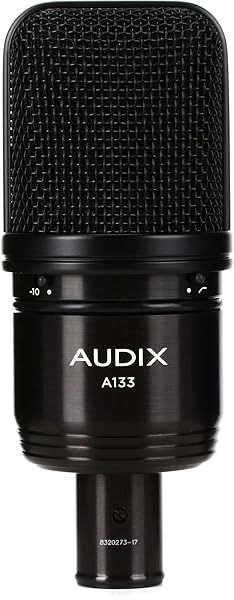 Audix A133 Large-Diaphragm Condenser Microphone: Perfect for Recording Instruments & Vocals