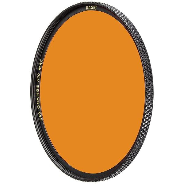Buy B+W 49mm Basic Black & White MRC 040M Glass Filter - Enhance Your Photography
