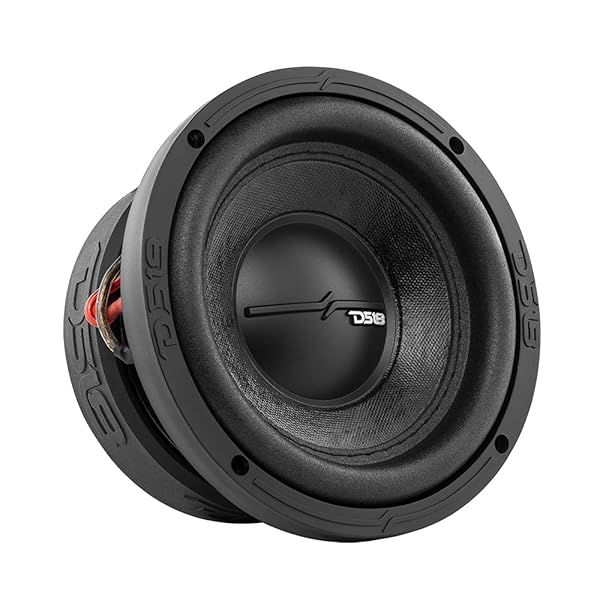 "DS18 Elite-Z ZR6.2D 6.5" Car Subwoofer - 600W Dual Voice Coil for Powerful Bass"