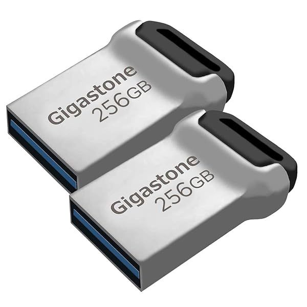 GIGASTONE Z90 256GB USB 3.2 Gen1 Flash Drive 2-Pack Waterproof Compact Reliable Performance Pen Drive