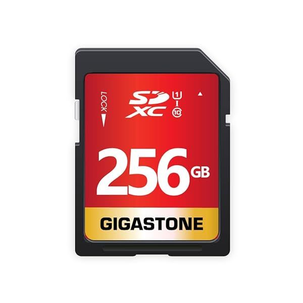 Buy Gigastone 256GB SD Card UHS-I U1 Class 10 for Canon, Nikon, Sony - High Speed Full HD Video + Mini Case Included