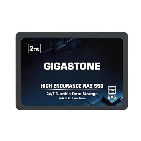 Gigastone 2TB NAS SSD Drive Durable High Endurance RAID Data Storage 2.5 Inch SATA Internal Solid State Hard Drive