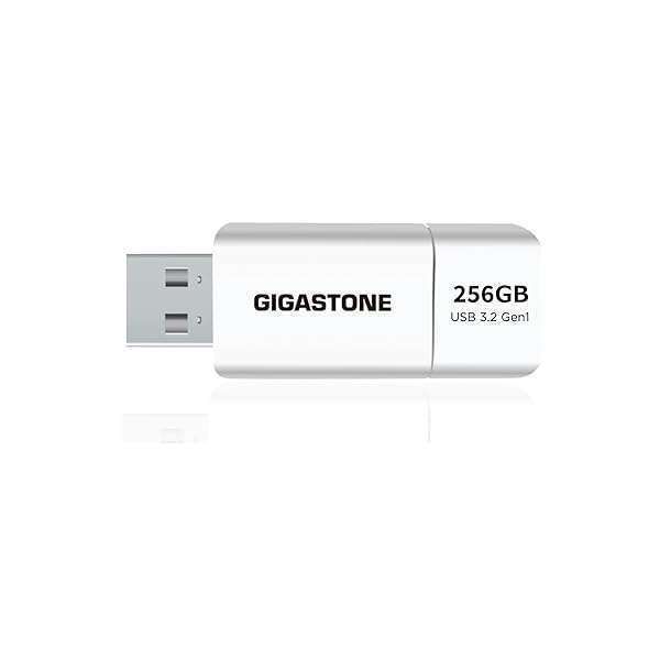 Buy Gigastone Z60 256GB USB 3.2 Flash Drive - Ultra High Speed, Capless Design, Compatible with USB 2.0/3.0/3.1