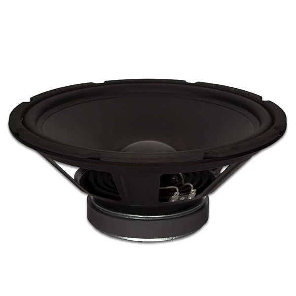 "Goldwood GW-1248 12" Rubber Surround Woofer - 290W 8ohm Replacement Subwoofer Speaker"