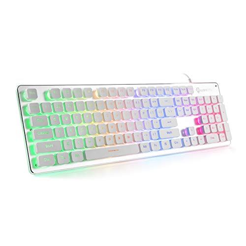LANGTU Rainbow LED Gaming Keyboard - Quiet USB Wired, 25 Anti-Ghosting Keys, All-Metal Design for Office & Gaming - L1 White/Silver