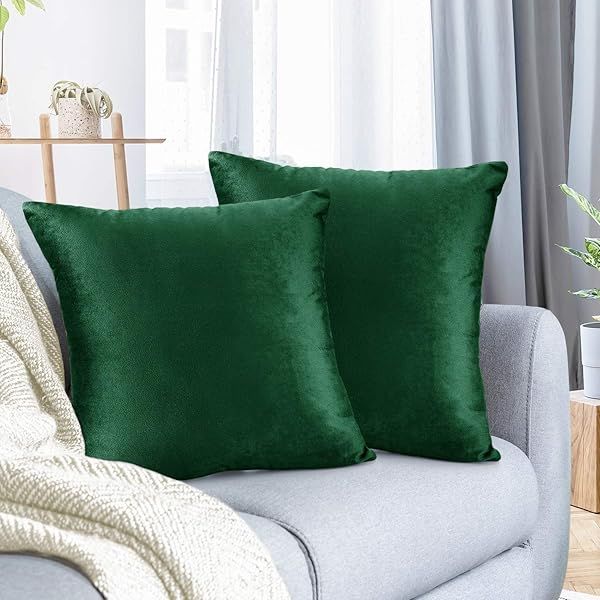 Cozy Velvet Green Throw Pillow Covers 18x18 - Set of 2 for Sofa, Bed & Car | Soft Decorative Cushions