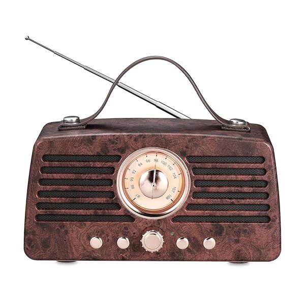 Aurtec Retro Bluetooth Speakers Portable Wireless Speaker with FM Radio Powerful Sound and Subwoofer for Home and Outdoor Use