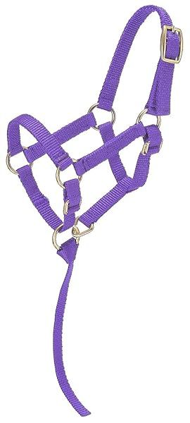 Shop Tough-1 Miniature Nylon Halter in Purple - Small Size for Mini Horses