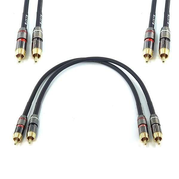 WJSTN 1ft RCA to RCA Cable - Double Shielded Stereo Audio Cable for Speakers, AMP, Turntable & Home Theater (2-Pack)