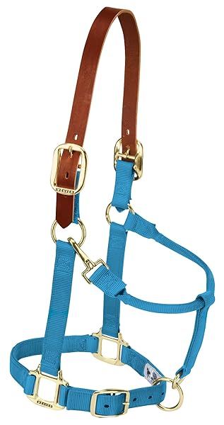 Buy Weaver Leather Nylon Adjustable Breakaway Horse Halter - Small Hurricane Blue | Durable & Stylish Equine Gear
