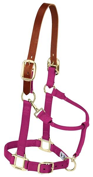 Weaver Leather Nylon Adjustable Breakaway Horse Halter for Yearlings in Raspberry Color