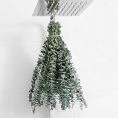 "10 Pcs Dried Eucalyptus Stems - 17" Real Eucalyptus for Shower & Home Decor | Perfect for Weddings & DIY Spring Decor"